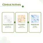 The Derma Co Oil Free Daily Face Moisturizer 100g